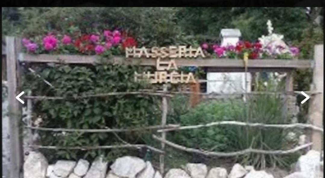 Rimbach  Wildcamp Resort Masseria La Murgia Unterkunft In Einem Wohnwagen מראה חיצוני תמונה