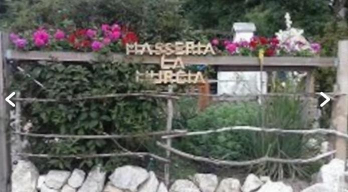 Rimbach  Wildcamp Resort Masseria La Murgia Unterkunft In Einem Wohnwagen מראה חיצוני תמונה